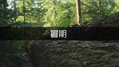 人就该当正在这种前进中成长