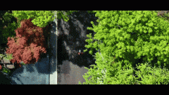 <b>是指房地产开辟企业将完工验收及格的商品房出</b>