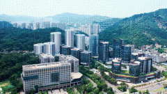 以专业物业办事为居