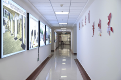 线下发卖想都不敢想的