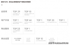 轻奢奶油气概、现代轻奢气概两种分歧风